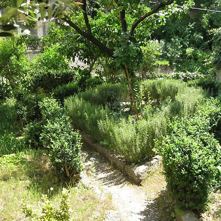 Vrlic Split