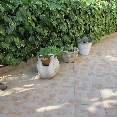 Vrlic Guest house